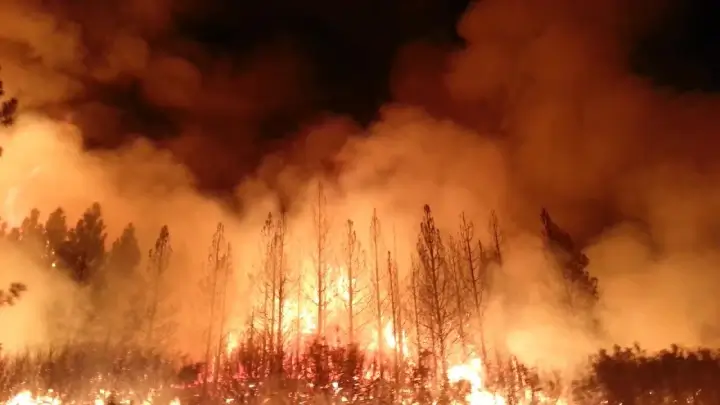 feu de forêt en Australie